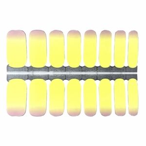 5 for $15 Nail Wrap - Margarita